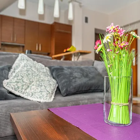 Apartserwis - Gorace Zrodla Szalasowka Apartment *